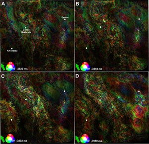 01jan-the-importance-of-cropping-fig3