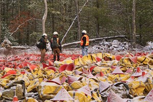 3-d-helped-get-view-of-marcellus-area-fig2