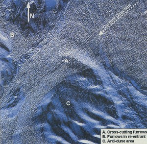 3-d-reveals-furrows-on-gulf-floor-fig1