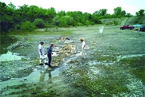 3d-gpr-providing-a-new-field-tool_fig1v2