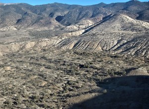 3pl-lithium-fini-is-a-model-for-oil-scientists-fig3