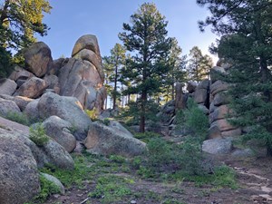 a-geologists-journal-fig6