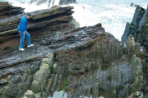 A-Pioneer-in-Organic-Geochemistry-01