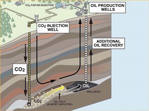 a-preview-of-this-year-fig1