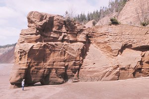 analog-sisters-prompt-new-ideas-fig3