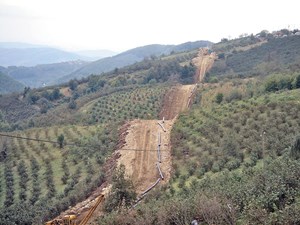 black-sea-primps-for-spotlight-fig5