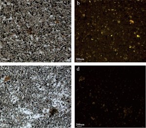 blog-learn-interview-chenglin-liu5