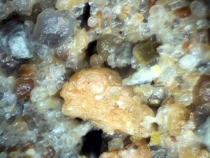 blog-learn-interview-with-william-feathergail-wilson