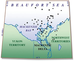 bundle-up-its-winter-in-the-delta-fig1