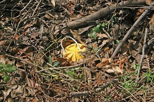 cables-can-tangle-seismic-plans-fig2