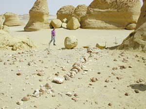 cairo-meeting-set-for-october-27-30-fig1