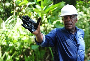 chevron-in-ecuador-fig5