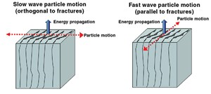 China-Study-Detecting-Fractures-fig1