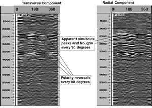China-Study-Detecting-Fractures-fig2