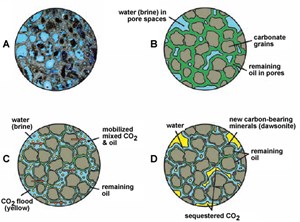 corralling-co2-a-win-win-for-oil-jul07-fig3