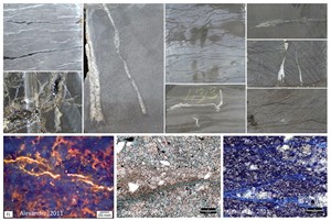 diverse-dynamics-impact-bakken-productivity-fig2