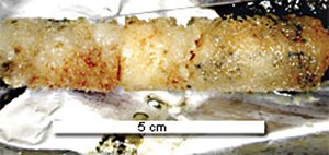 diving-into-gas-hydrate-systems-fig2