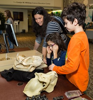 earth-science-week-2022-fig2