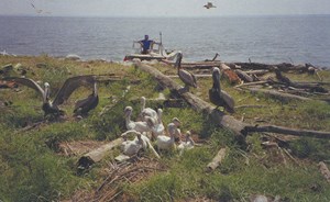 enviro-standards-due-new-look-fig2