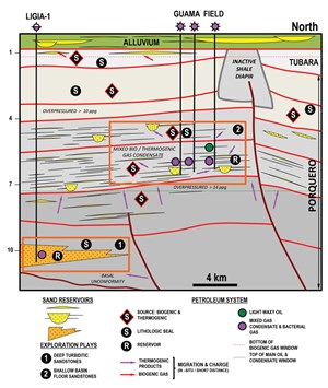 exploration-lessons-from-the-land-of-magic-realism-fig4
