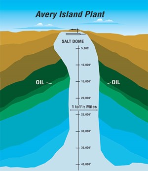 geology-spices-avery-island-fig1