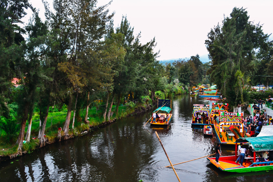 History, Geology and Unique Wildlife at Xochimilco