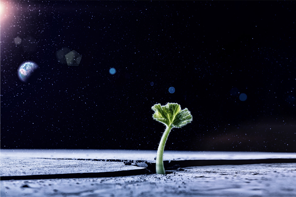 How Common Are Earth-like Planets?