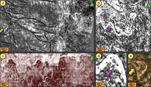 Identification-of-Isolated-Complex-fig-4