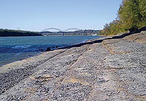 illinois-basin-shale-gets-tech-focus-illinois