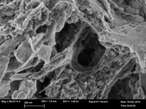 imaging-unconventional-reservoir-pore-systems