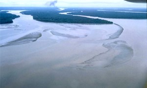 insights-and-lessons-fig8