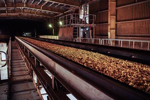 is-biomass-a-blessing-fig2