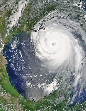 katrina-to-be-a-major-industry-test-fig1