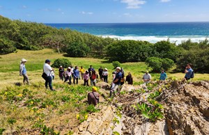 laboratory-deepwater-fig3