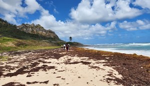 laboratory-deepwater-fig4