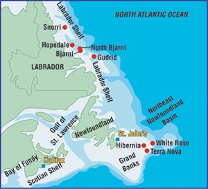 labrador-looks-to-retrieve-gas-fig2