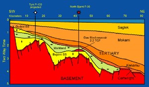 labrador-looks-to-retrieve-gas-fig4