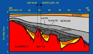 labrador-looks-to-retrieve-gas-fig5