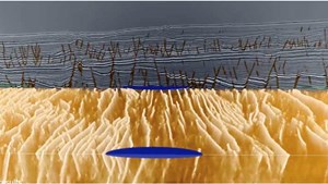 learn-blog-Interview-with-Andy-James-fig2