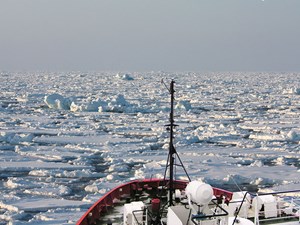 lessons-from-the-north-fig2