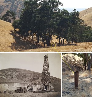 Livermore-Oil-Sees-150th-Anniversary-fig1