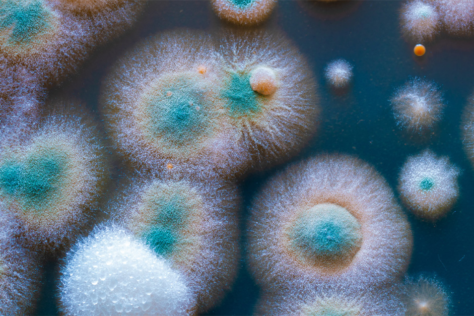 Mining with Microbes and AI