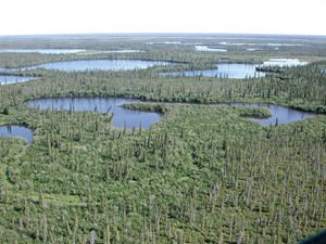 natural-gas-drives-canadian-effort-fig2