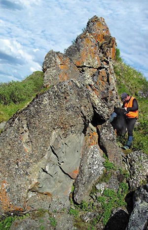 npr-a-looking-good-after-study-fig3