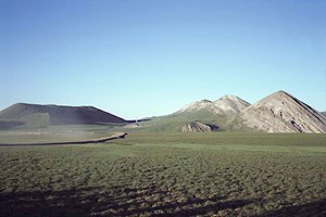 npr-a-looking-good-after-study-fig5