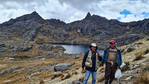 opportuinities-through-crisis-fig5