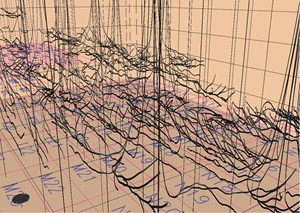 orinoco-requires-heavy-lifting-fig3