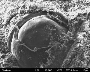 ou-consortium-makes-profound-impact-on-industry-and-education-fig1