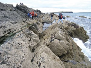 outcrops-book-gives-deep-look-fig3