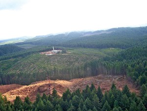 pacific-nw-plays-present-a-puzzle-fig1